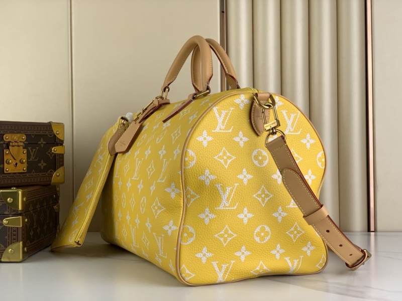 LV Travel Bags